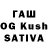 Псилоцибиновые грибы Magic Shrooms Dhara Gupta