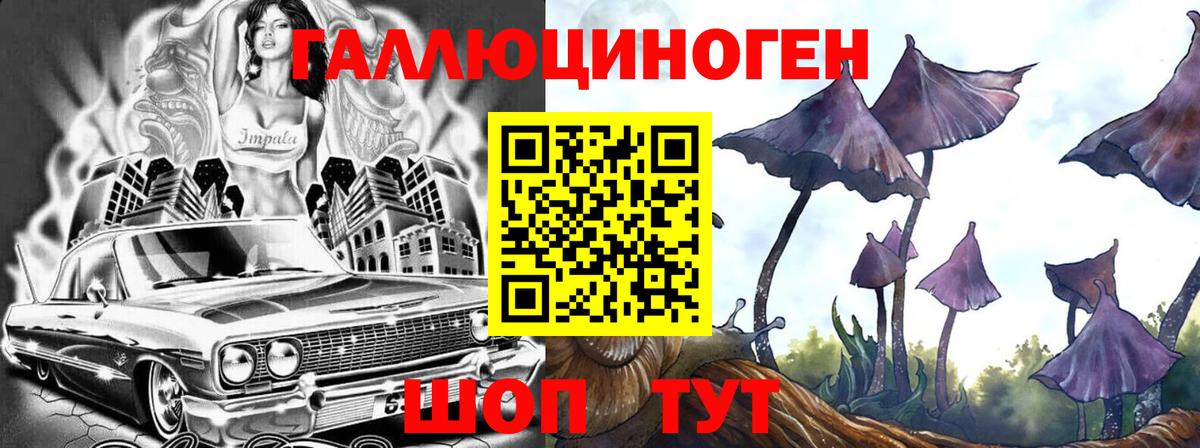 Псилоцибиновые грибы Magic Shrooms  Галлюциногенные грибы Psilocybe  Вход с VPN  Серов 
